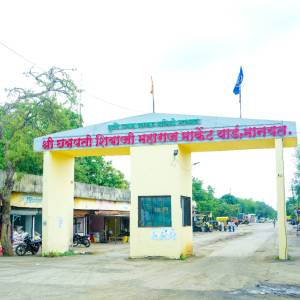 WhatsApp_Image_2026-08-10_at_11.18.03_AM_1_original